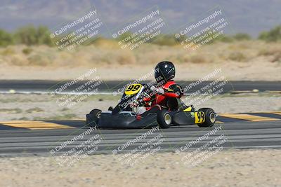 media/Mar-29-2025-Pro Autosports (Sat) [[89b1c017ad]]/6-Purple Group/Qualifying Session/